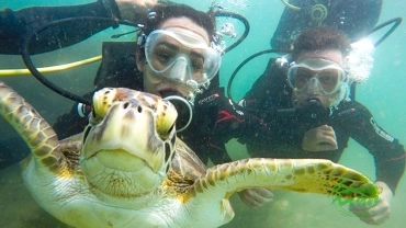 Mergulho Batismo Bombinhas- Paraíso das Tartarugas